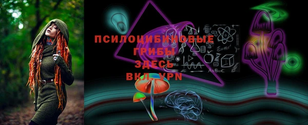 дурь Семилуки