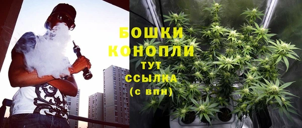 молекула духа Дмитриев