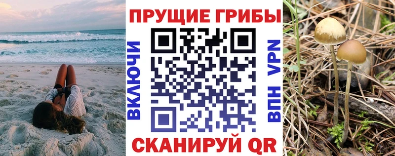 дарнет шоп Светлый Галлюциногенные грибы Cubensis